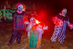 Creepy clowns